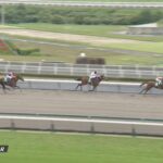 【平安ステークス2022】結果・動画/テーオーケインズが人気に応え圧勝