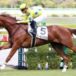 【競馬予想】[1]第83回オークス(GⅠ) /2022