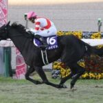 アカイイトとか言う一発屋GⅠ馬