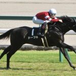 5億円馬ドーブネ骨折