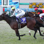 【競馬予想】[2]第89回日本ダービー(GⅠ) /2022