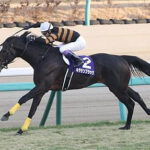 池江泰寿調教師「キタサンブラックはディープインパクトでも差せないよ」