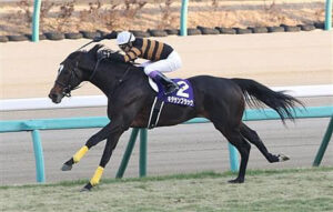 池江泰寿調教師「キタサンブラックはディープインパクトでも差せないよ」