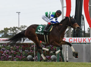 大人気メイケイエール「ファンレターの数えぐい」受験勉強中の女子学生からも届く