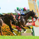 【京王杯SC】1番人気メイケイエールが直線抜け出して快勝!重賞5勝目
