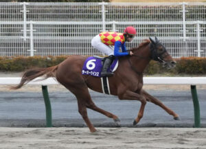【競馬予想】第29回平安ステークス(GⅢ) /2022