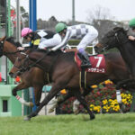 【競馬予想】[4]第89回日本ダービー(GⅠ) /2022