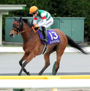 【ヴィクトリアM】レイパパレが惨敗した理由