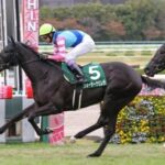 【オークス】阪神JF3着、桜花賞2着の馬が7番人気とかありえないだろ