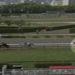 ディープボンド和田の騎乗は正しかったの?