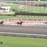 【平安ステークス2022】出走予定馬・騎手/砂の帝王参戦