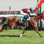 【葵S】1番人気ウインマーベルが2馬身半差の完勝!重賞初制覇