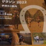 今日はワイも出走や