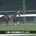 【オークス】サウンドビバーチェ放馬