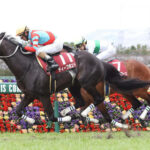 【競馬予想】[2]第63回宝塚記念(GⅠ)/ 2022