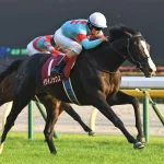 イクイノックスとかいうビワハヤヒデ