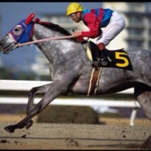 レース動画見てたんやけどタマモクロスってめっちゃ強くないか？