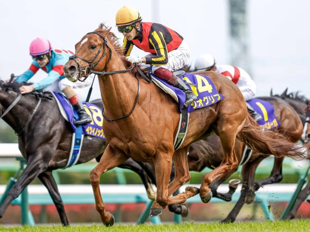 ジオグリフ世代で有馬出そうな馬どれ？