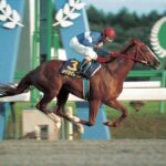 地方競馬の怪物や強豪といったら思い出す馬