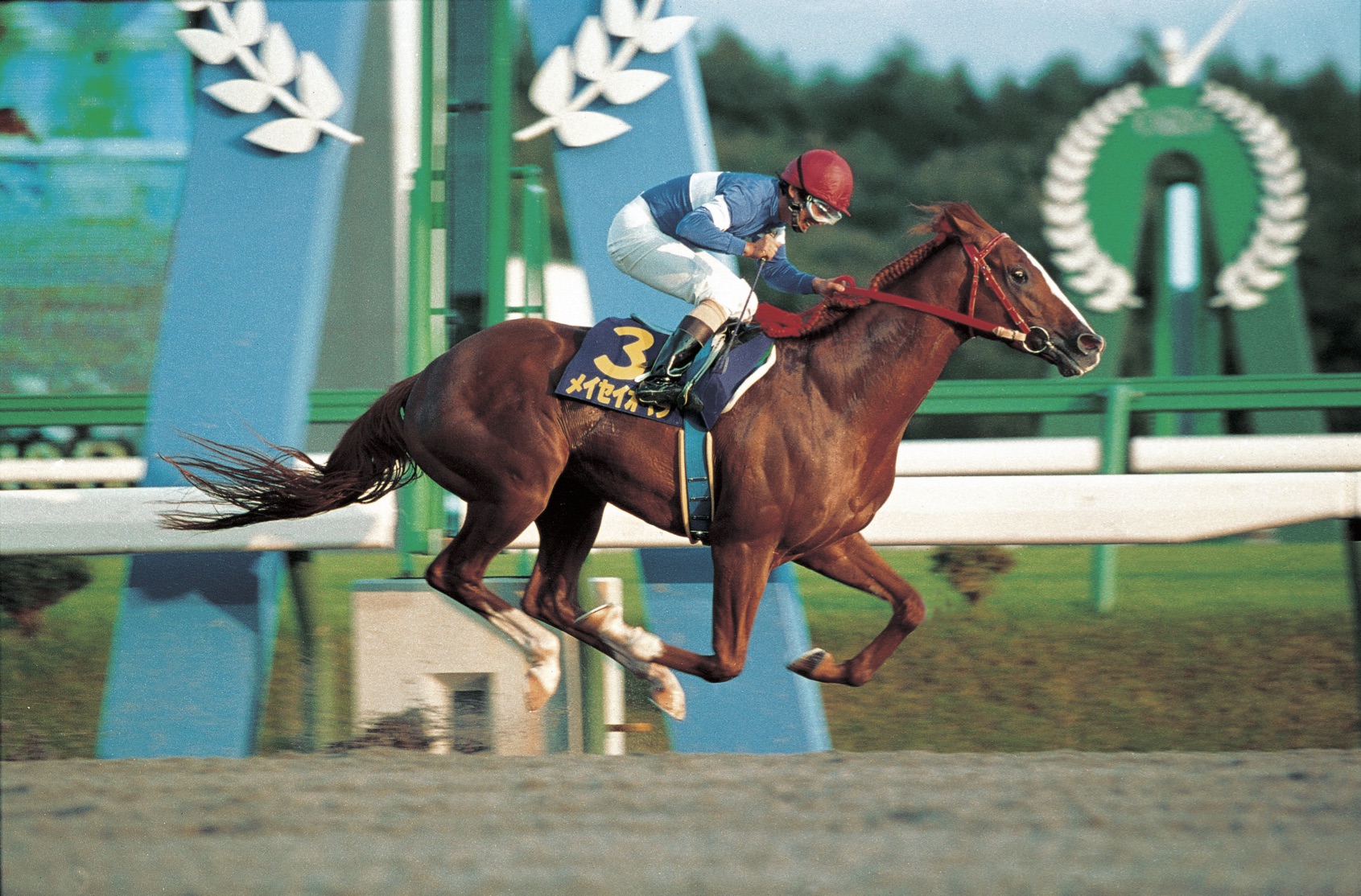 地方競馬の怪物や強豪といったら思い出す馬