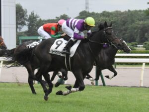 あんなに強かったイルーシヴパンサーやソウルラッシュやジャックドールがあっさり跳ね返される