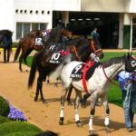 パドックや返し馬で評価を下げた馬が好走することってめっちゃあるよな