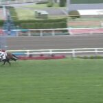 【競馬】函館5R新馬戦 武豊騎乗のフミサウンドが差し切りV
