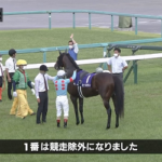 【宝塚記念】オーソリティ競争除外