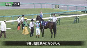 【宝塚記念】オーソリティ競争除外