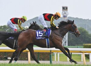 なんでシュネルマイスター2着に食い込めたの？