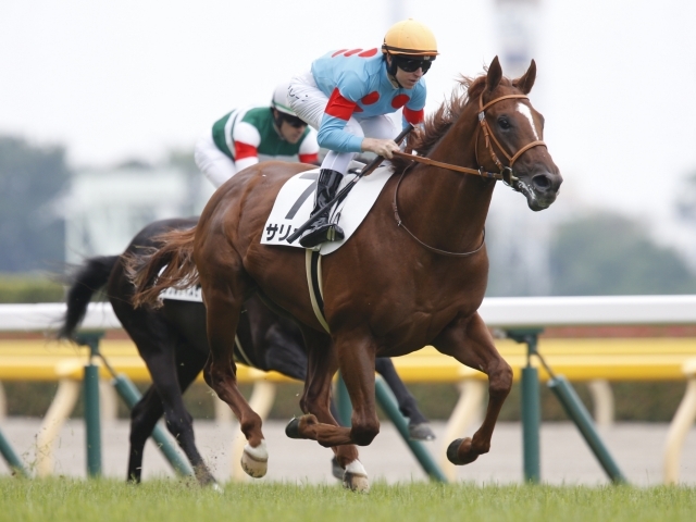 現役競走馬で1番かっこいい馬名