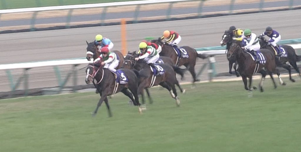 【競馬】大井のシテイタイケツ「史上最も衝撃的デビュー」20馬身ポツン→ごぼう抜き