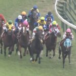 【競馬・宝塚記念】ヒシイグアス2着が1番わからないんだが