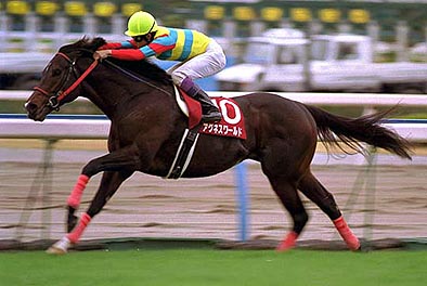 日本調教馬の海外レース最大の偉業は？