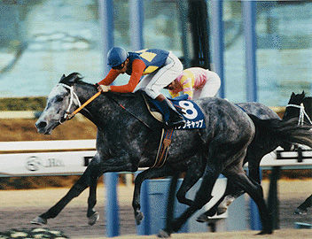 少しだけ懐かしい競馬関係の事