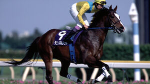 代表産駒が一頭しか思い浮かばない種牡馬