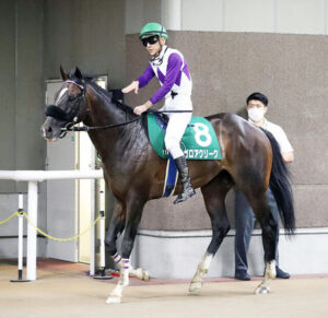 【エプソムカップ】ガロアクリーク買えたやつ