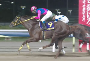 【帝王賞】波乱！5番人気メイショウハリオが抜け出しV！Ｇ１初制覇