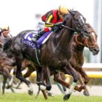今年の安田記念レベル低すぎwww