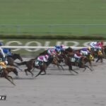 【ユニコーンステークス2022】結果・動画/ペイシャエスが混戦を差し切る