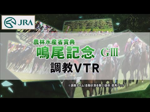 【調教動画】2022年 鳴尾記念｜JRA公式