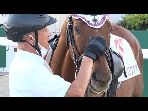 アタック！地方競馬｜第166回｜大井競馬場の誘導馬｜NAR公式