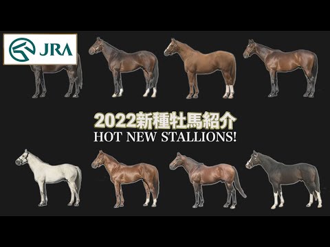 【新馬戦の予想前に必見！！】2022年　話題の新種牡馬 | JRA公式