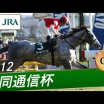 2012年 共同通信杯(GⅢ) | ゴールドシップ | JRA公式