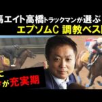 《エプソムC・調教ベスト3》「まさに今が充実期!」競馬エイト・高橋賢司トラックマンが選ぶ“3頭”は?