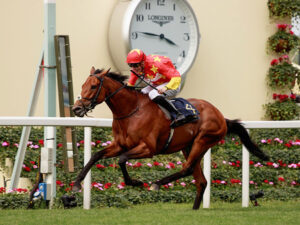 【プリンスオブウェールズS】シャフリヤール直線伸びず4着　ステートオブレストがV