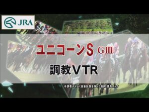 【調教動画】2022年 ユニコーンステークス｜JRA公式