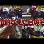 【競馬】一目見ただけでどの馬かわかる！？特徴的な見た目が凄い名馬達