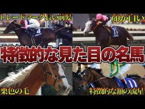 【競馬】一目見ただけでどの馬かわかる！？特徴的な見た目が凄い名馬達