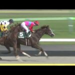 7番人気のペイシャエスが重賞初制覇【ユニコーンステークス2022】